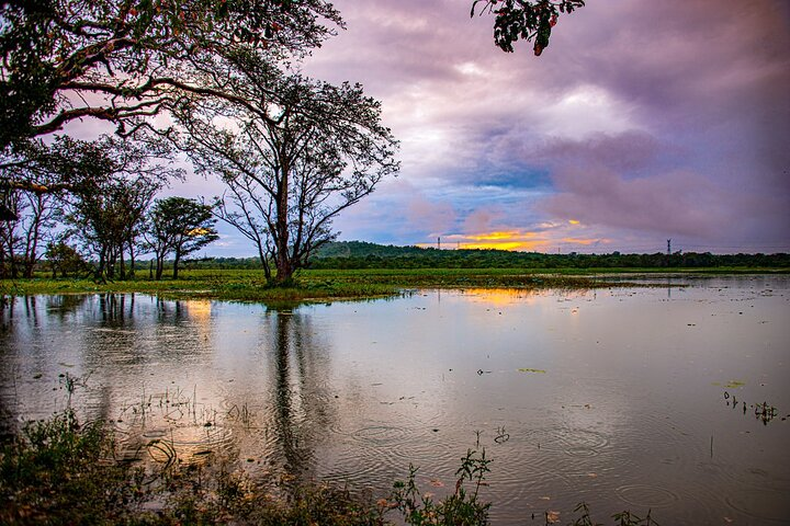 habarana lake